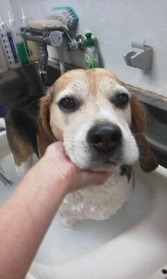 05100001