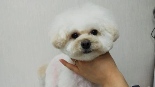 thumbnail_dsc_4999