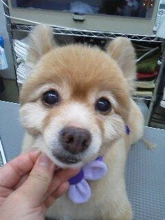 05290001