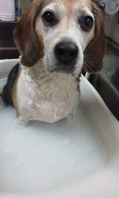 06090001