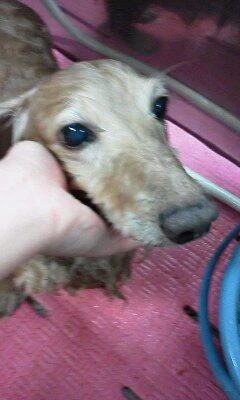 06120001