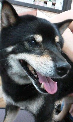 06170001