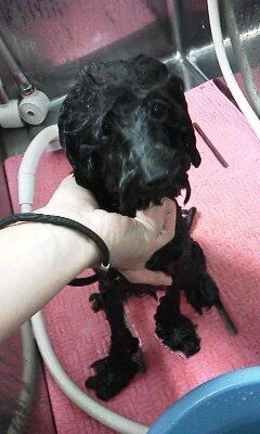 06230001