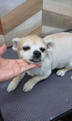 06230001